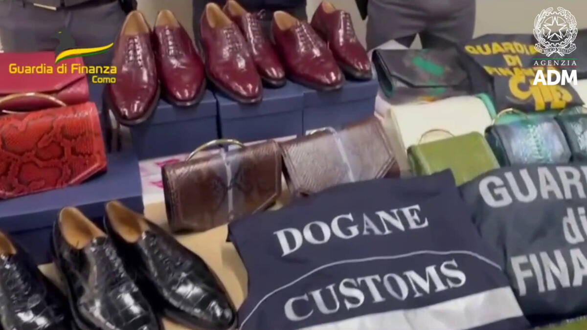 Como, sequesto accessori abbigliamento realizzati con pelli aninali -
