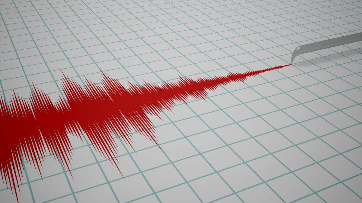 Sciame sismico in Calabria: registrate undici scosse di terremoto in meno di quattro ore - 