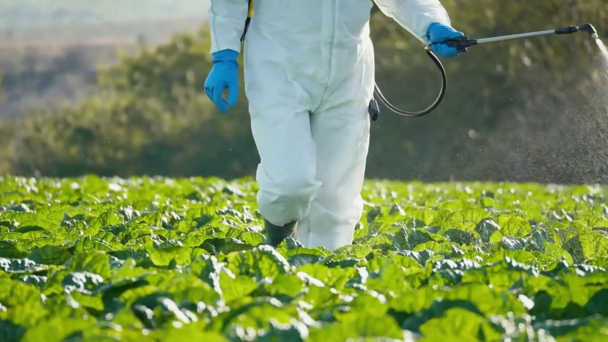 Agricoltura, 41 milioni per le assicurazioni agevolate -