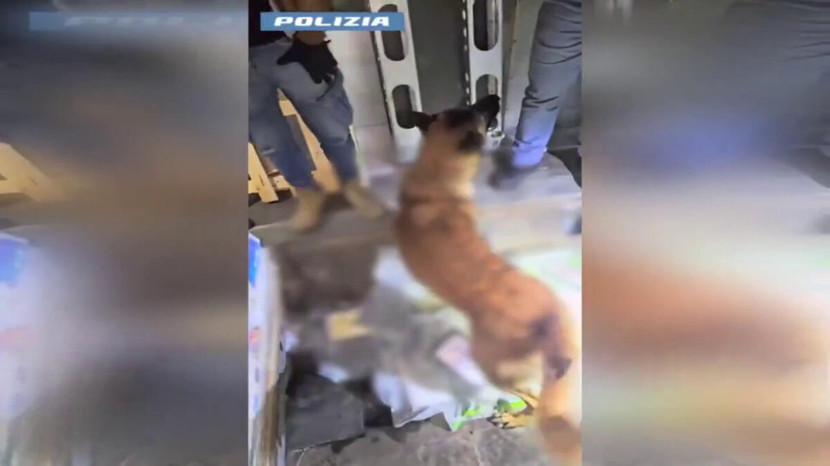 Traffico di droga nella piana Gioia Tauro, sequestrati 137 kg cocaina - 