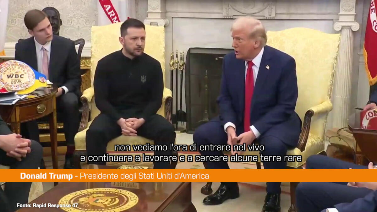 Trump a Zelensky "Vogliamo un accordo sulle terre rare" - 