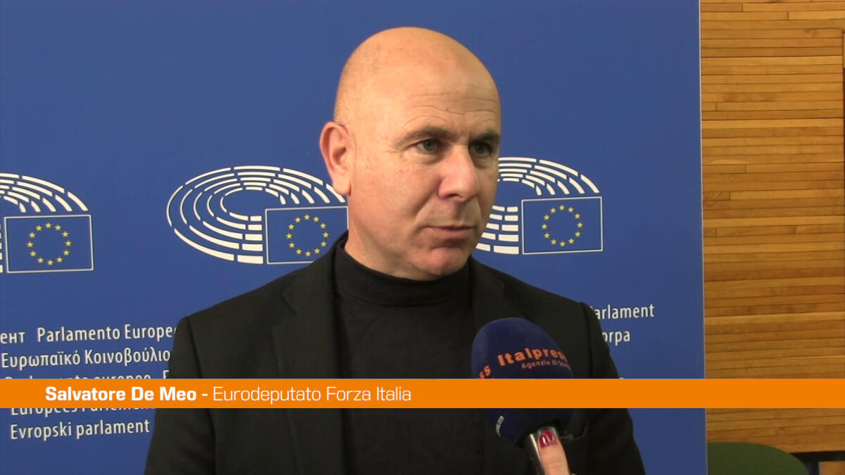 Dazi, De Meo "L'Europa deve reagire e Italia può avere un ruolo" -