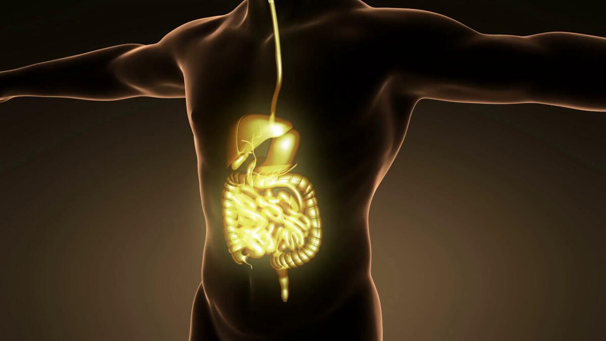 Sistema nervoso autonomo, l'interfaccia tra corpo e cervello - 