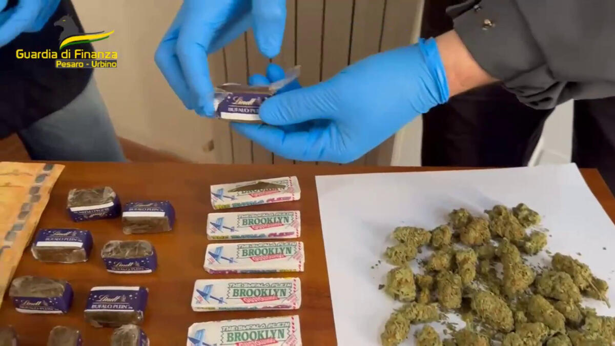 Droga nascosta in pacchetti di chewing gum, un arresto nel Pesarese - 