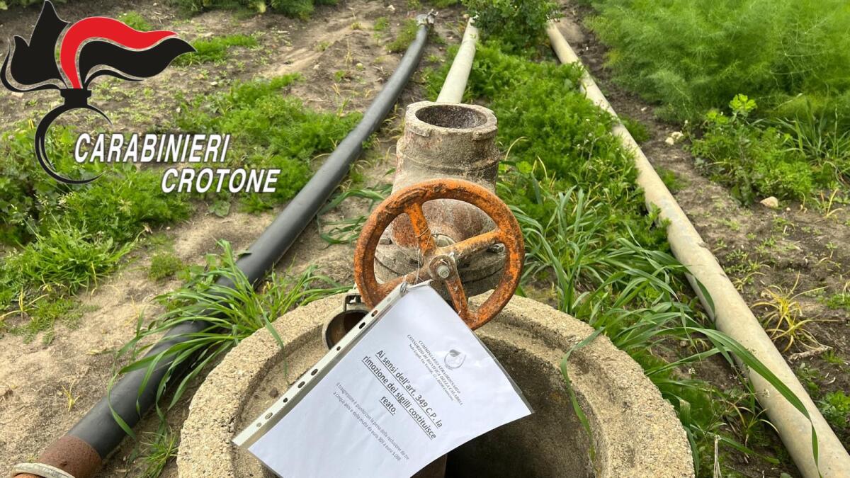 Continuano i controlli dei Carabinieri contro i furbetti dell'acqua: multe per più di 5.000 € - 