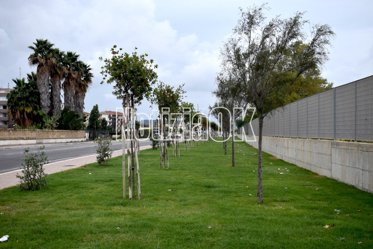 Crotone - Al Giardino di Alì la commemorazione delle vittime del naufragio di Cutro - 