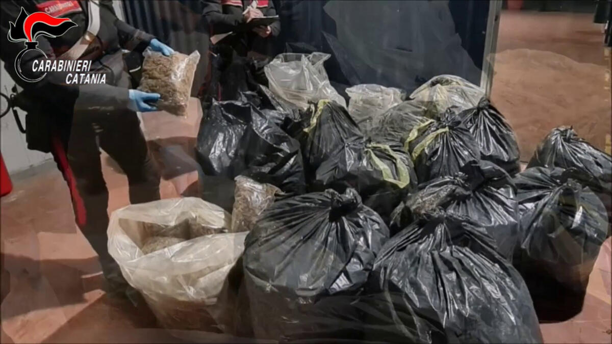 Sequestrati a Catania 250 chili di marijuana -