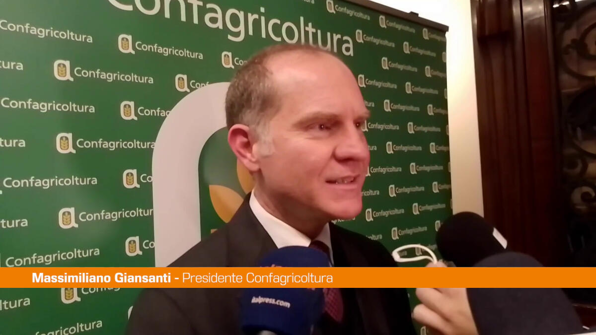 Giansanti "Serve un piano strategico sull'olio d'oliva" - 