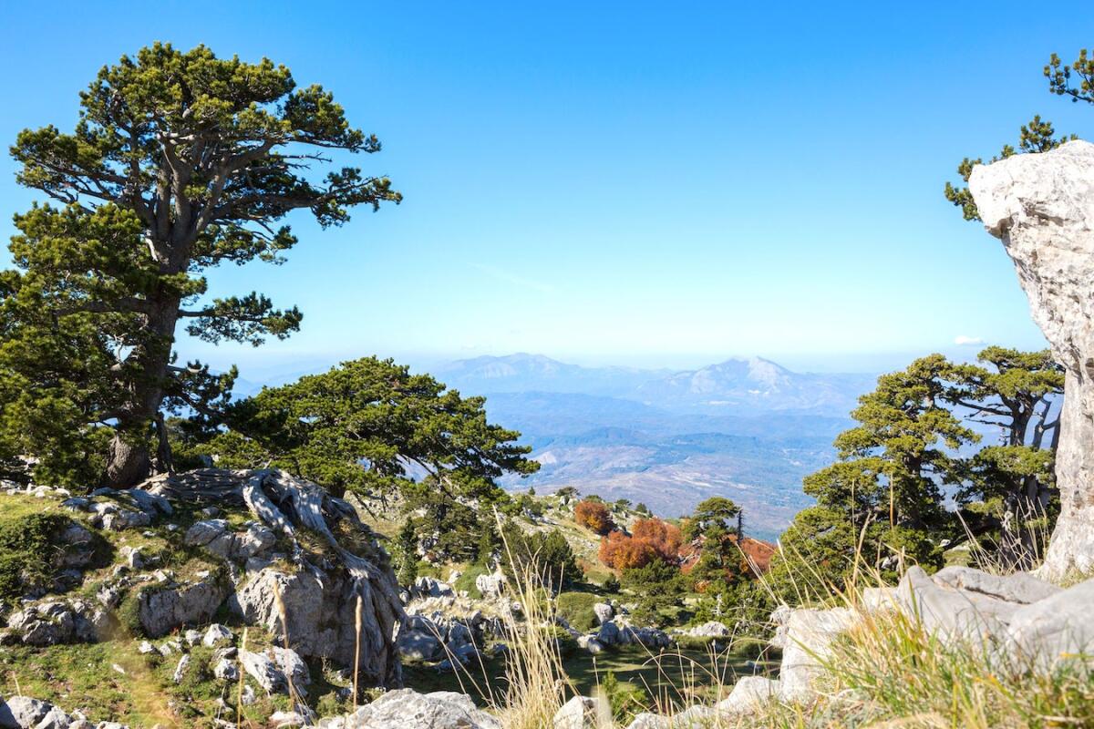 Dalla Sila al Pollino è la natura che comanda, buona la prima per High Wellness South Italy - 
