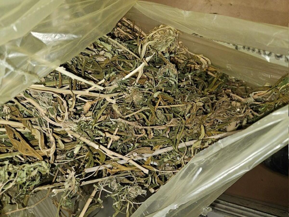 Crotone - In un appartamento sfitto, trovate piante di marijuana e possibile refurtiva abbandonata - 