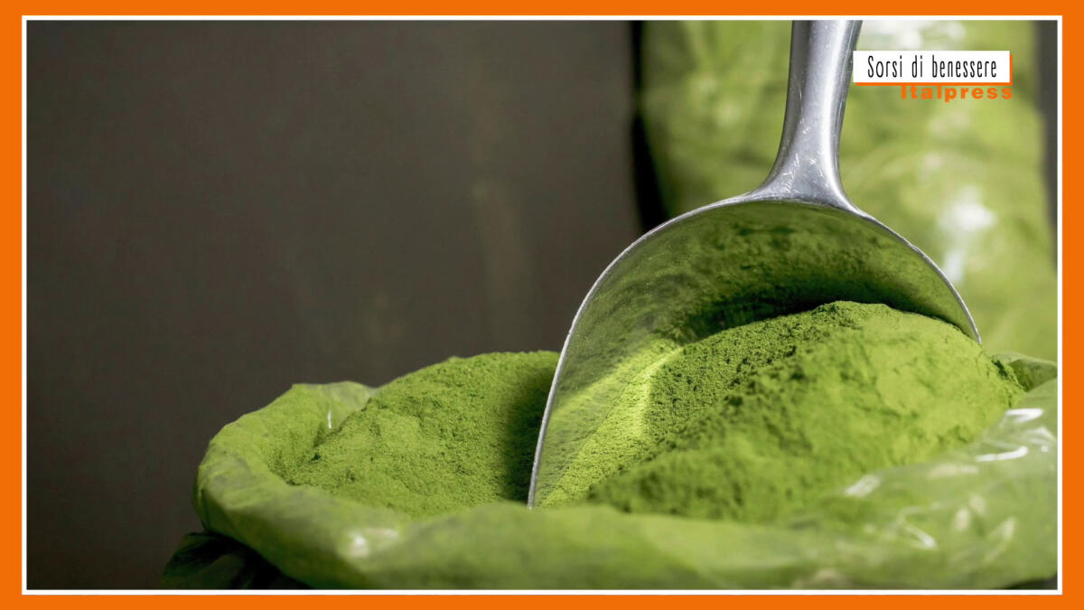 Sorsi di benessere - Tisana alla moringa, elisir di salute ed energia -