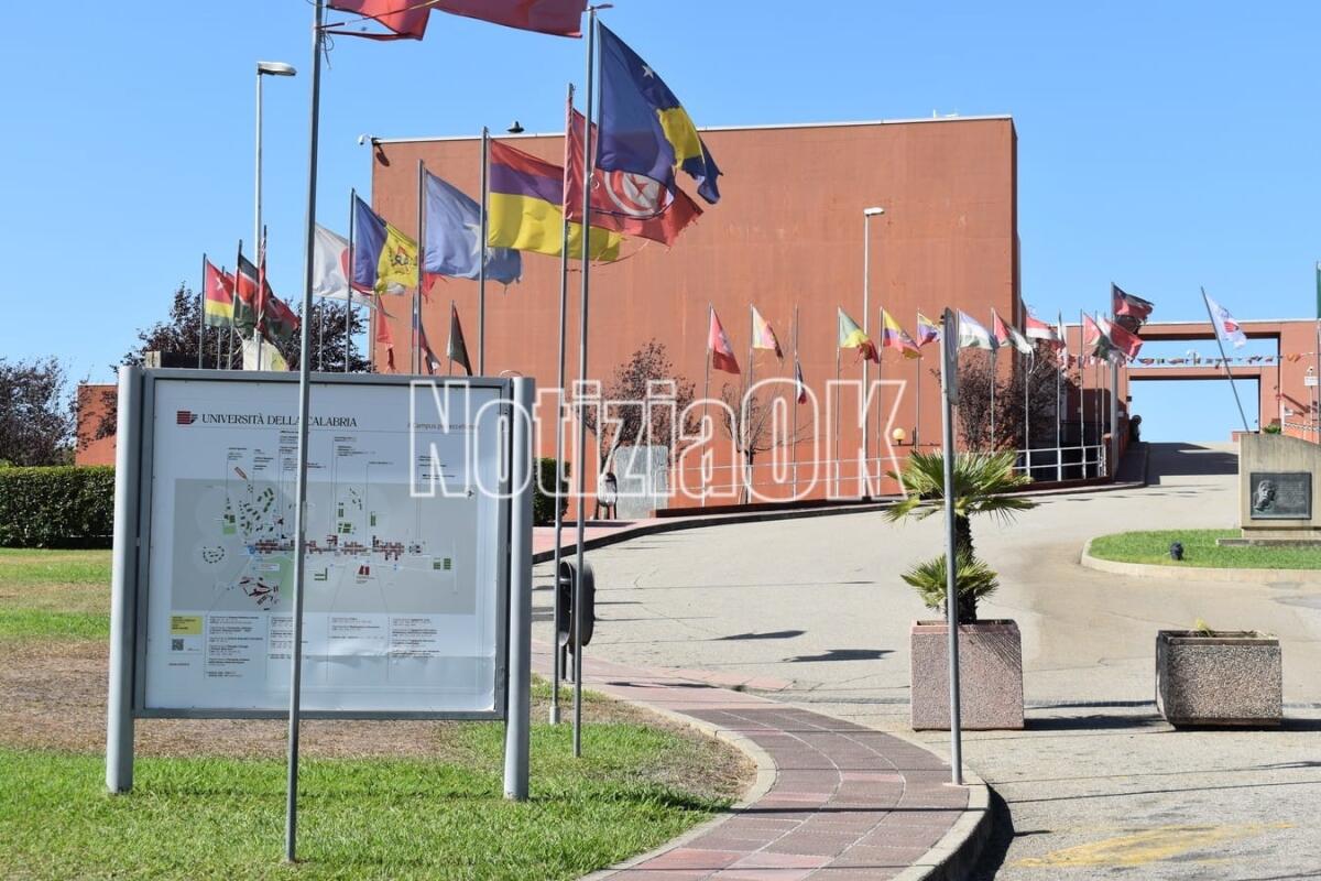 Unical e Università di Varsavia insieme per un innovativo progetto sulle fibre ottiche speciali - 