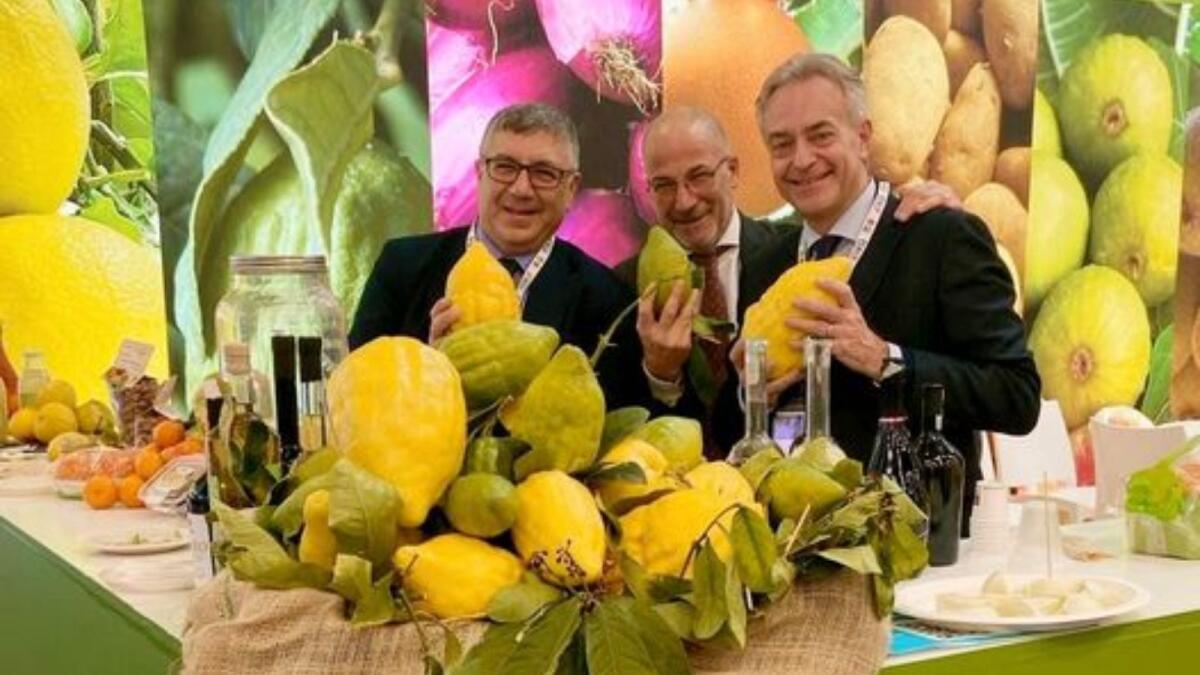 Incontro pubblico per la costituzione ufficiale del Consorzio di Tutela del Cedro di Santa Maria del Cedro DOP -