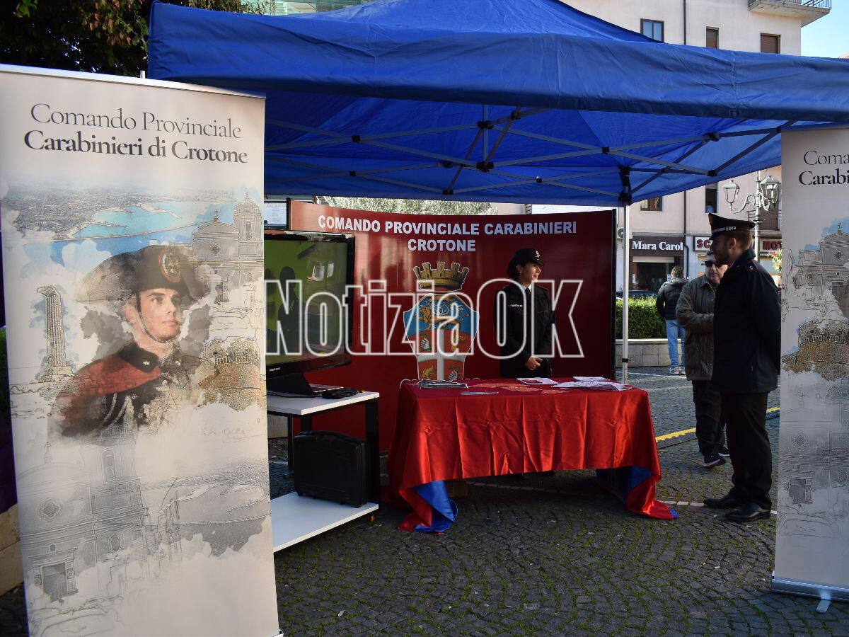 In netto calo nel 2024 gli omicidi con vittime donne - 