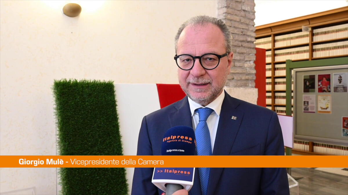 Difesa, Mulè "Voce che va ascoltata, spesso si fa disinformazione" - 
