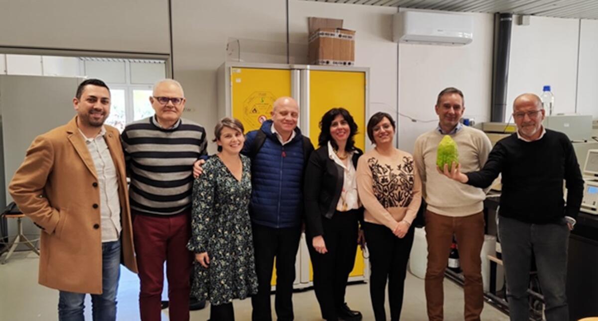 Dall’Unical nuovi strumenti per la tutela del Cedro di Santa Maria del Cedro DOP -