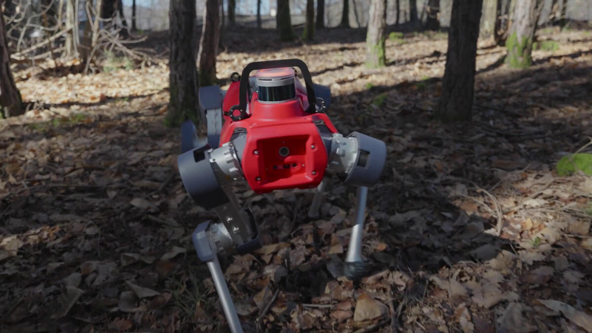 Robot, droni e IA per mappare le foreste. La ricerca di Unibz - 