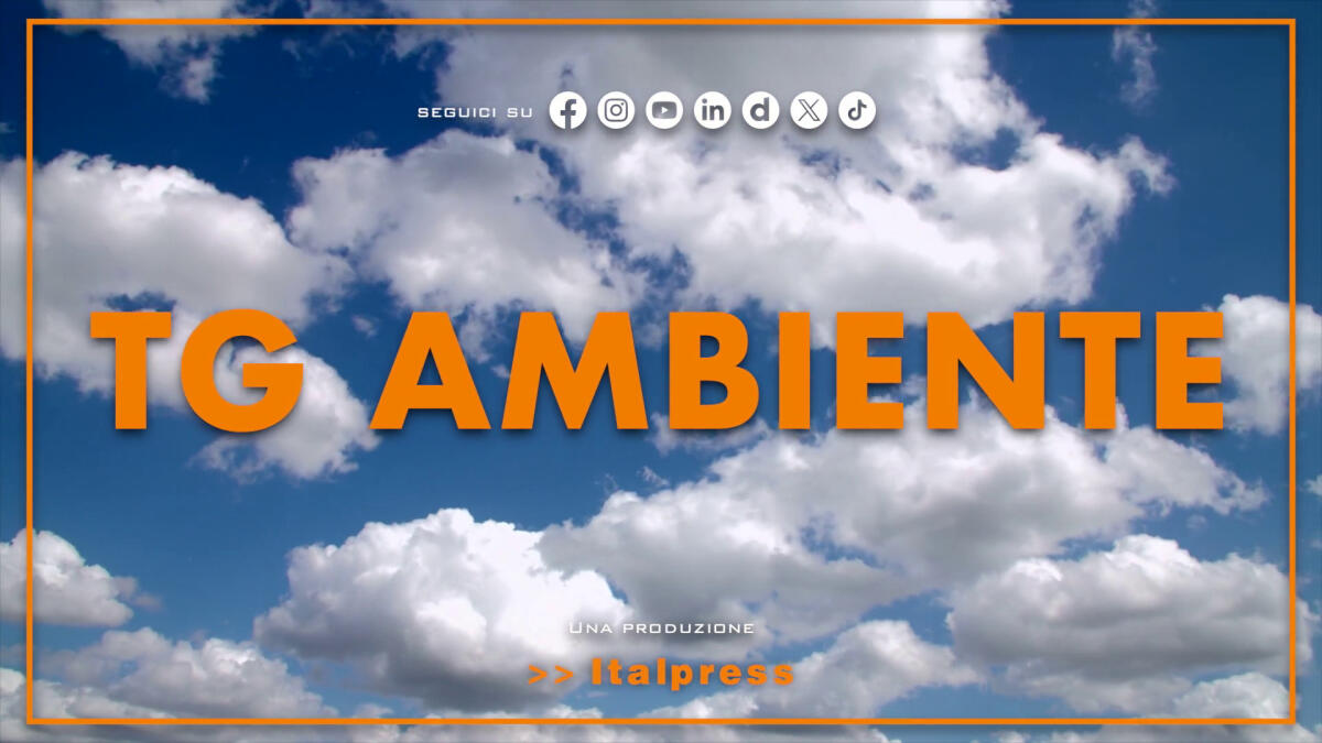 Tg Ambiente - 30/3/2025 -