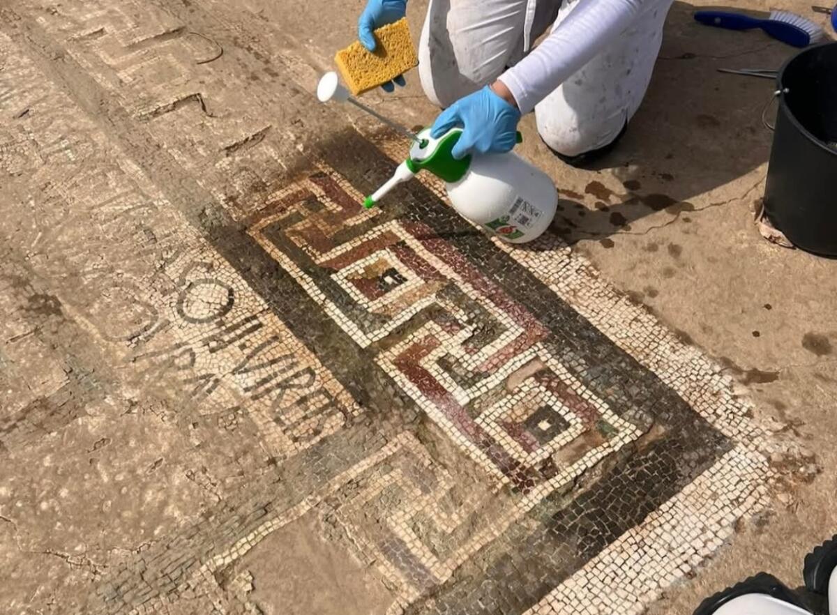 Crotone - Giornate del Fai a Capocolonna per ammirare il mosaico dei Delfini. Demma: "Presto lo presenteremo al pubblico" - 