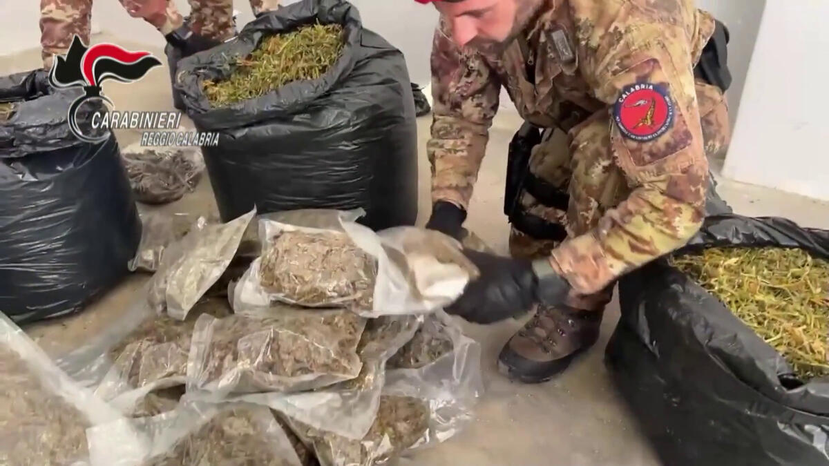 30 kg di marijuana nascosti in casa nella locride, arrestato un 35enne -