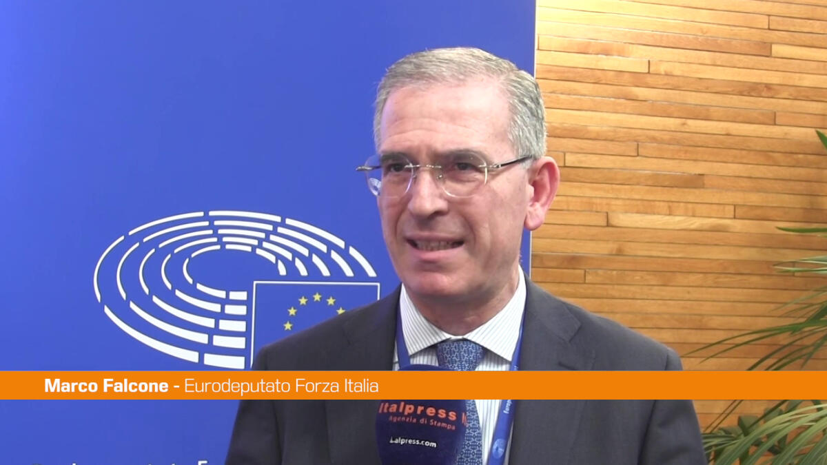 Difesa, Falcone "Progetto comune europeo importante per la sicurezza" - 