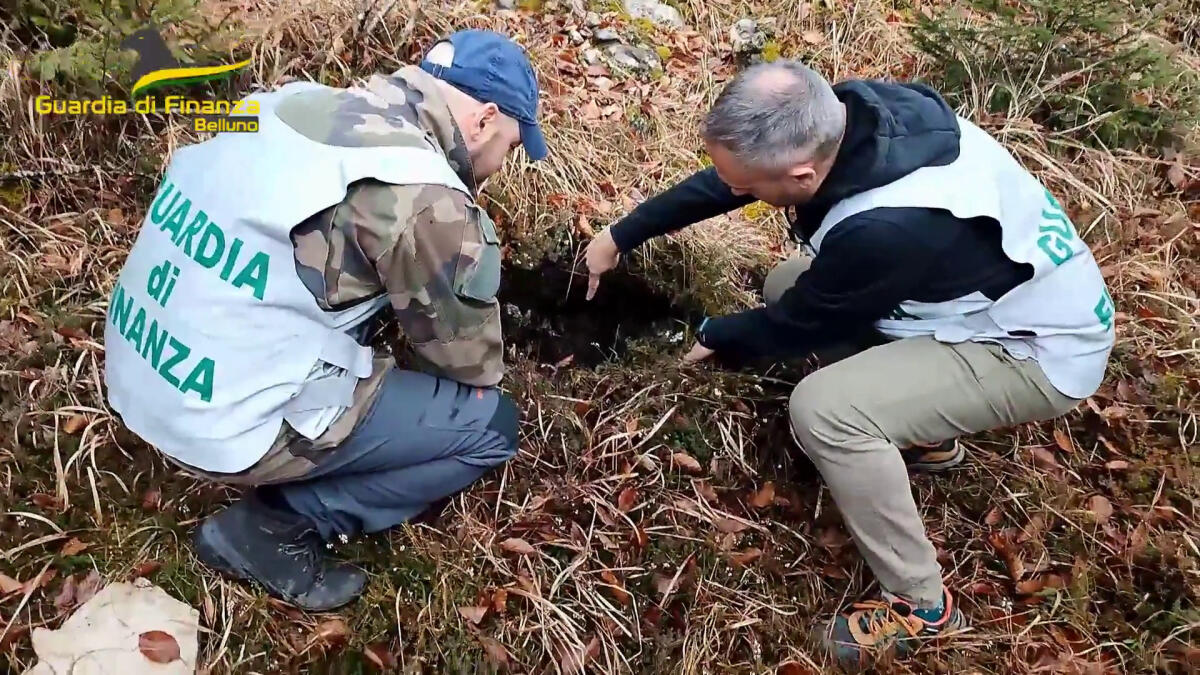 Belluno, ritrovati otto ordigni bellici in un'area boschiva - 