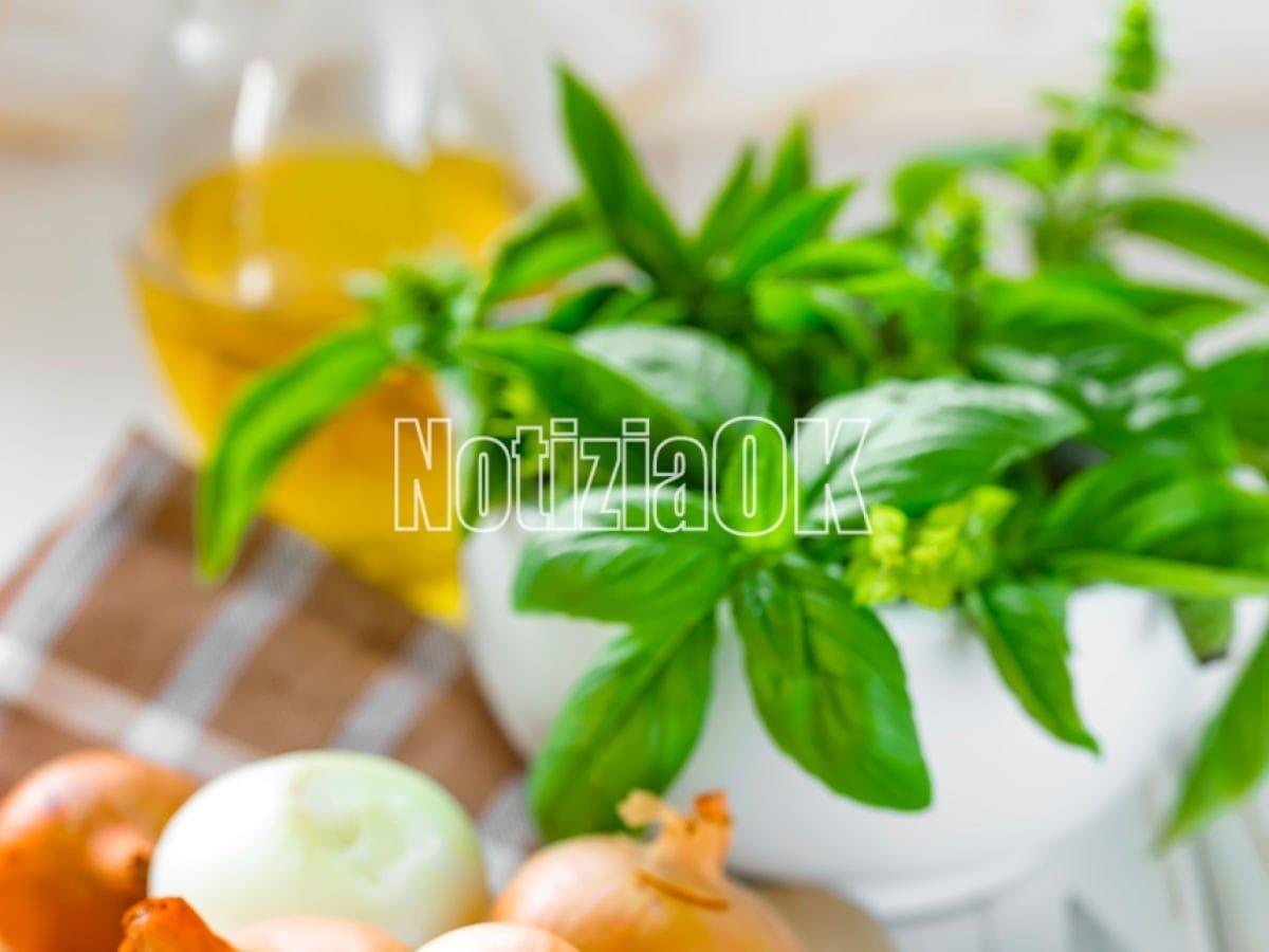 Lifestyle - Cucina light con il cartoccio - 