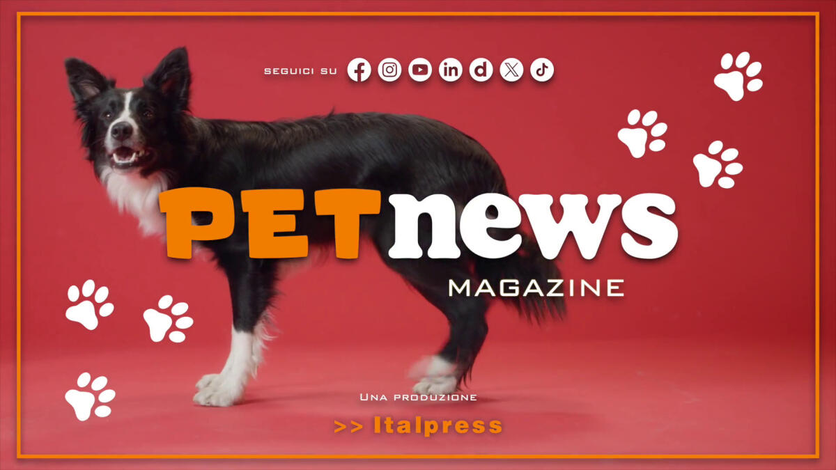 PetNews Magazine - 4/3/2025 -