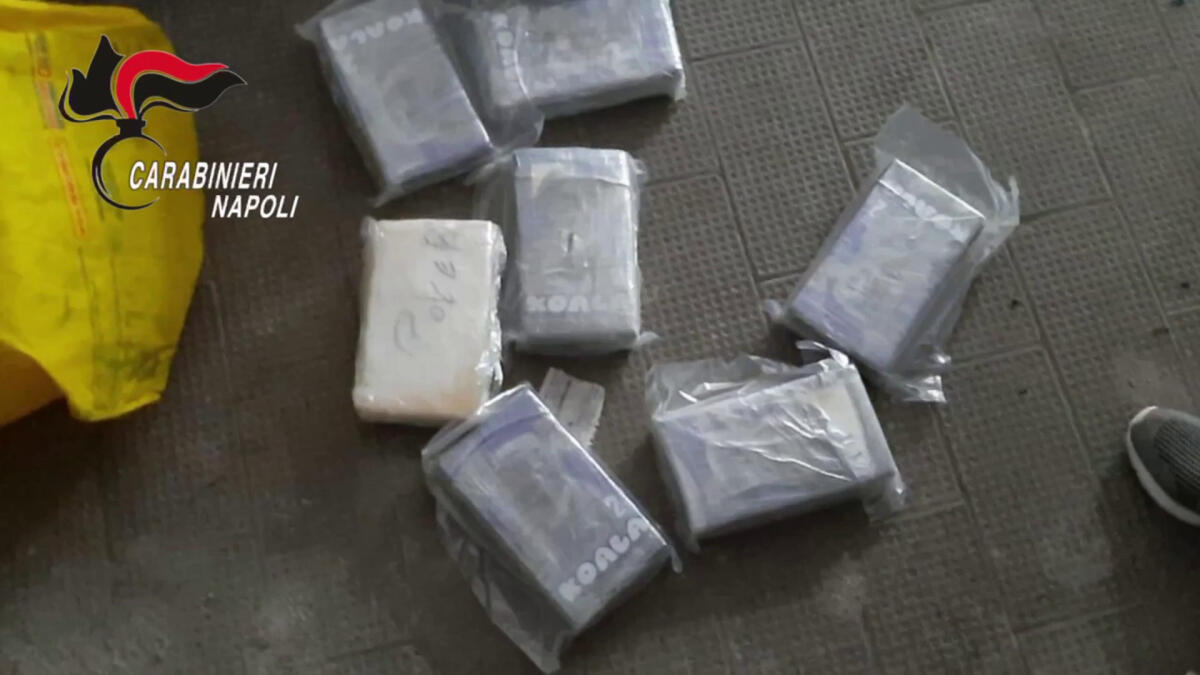Blitz antidroga in Campania, decine di arresti - 