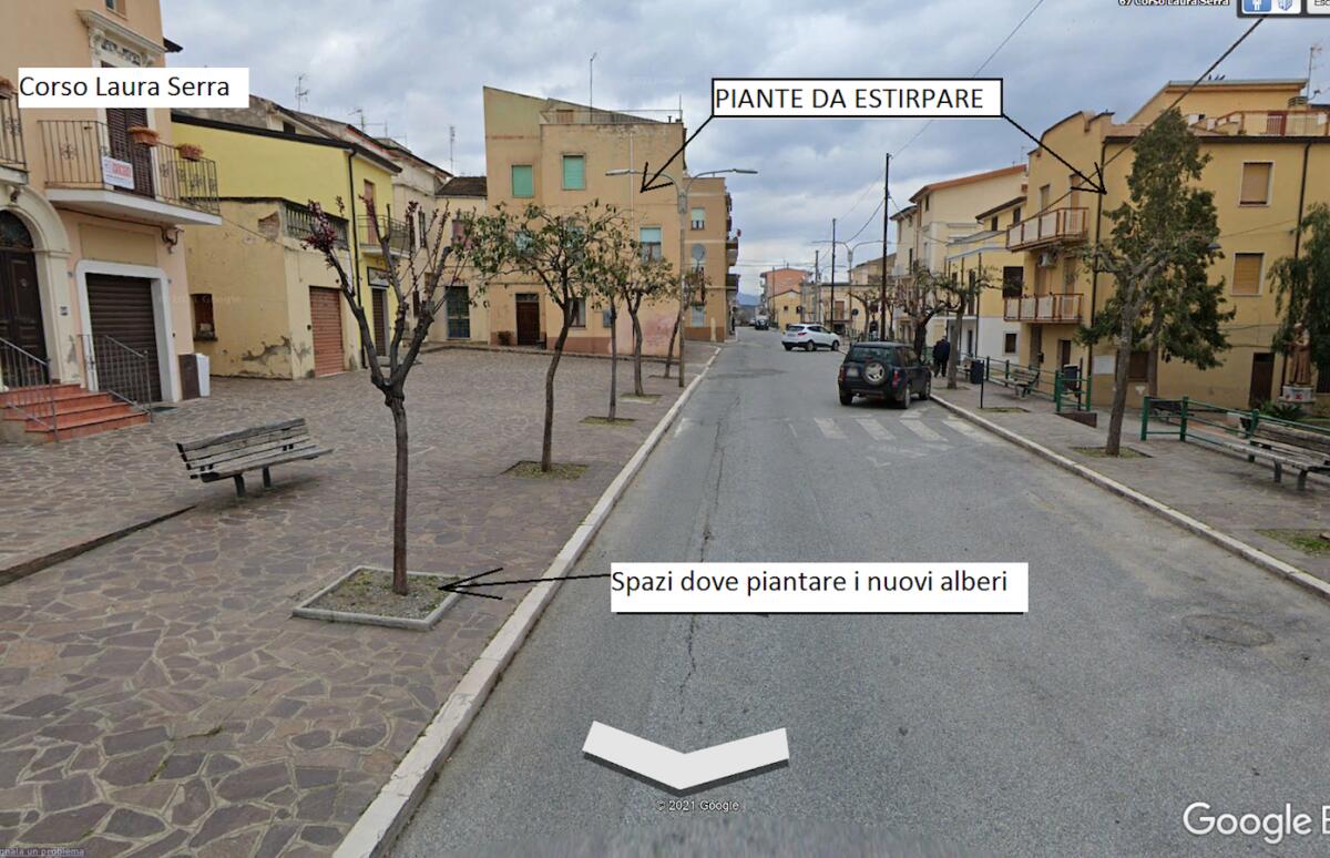 Cassano all'Ionio - Al via la piantumazione di nuovi alberi al centro e a Lauropoli - 