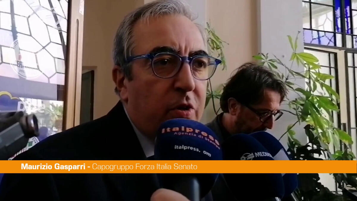 Gasparri"Si può rispettare sofferenza Spinelli e non sposare pensiero" - 