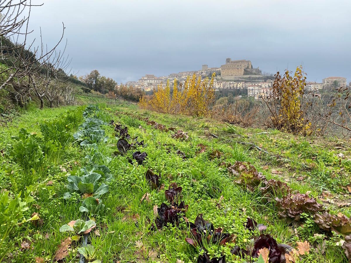 Altomonte - L'antico mestiere del raccoglitore: passeggiata sensoriale ed olfattiva negli orti dell’oasi di pace e relax Barbieri - 