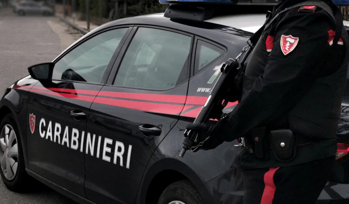 Calabria - Blitz dei Carabinieri per sgominare una rete criminale finalizzata al traffico di armi - 