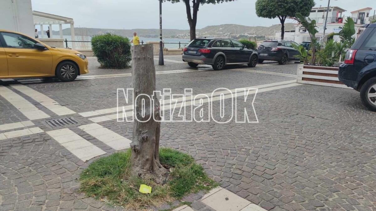 Crotone - In città non si butta mai niente: legname delle potature donato a soggetti svantaggiati - 