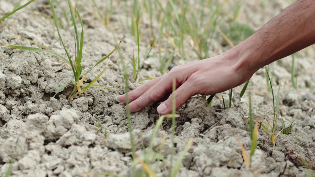 I cambiamenti climatici hanno impatti irreversibili - 