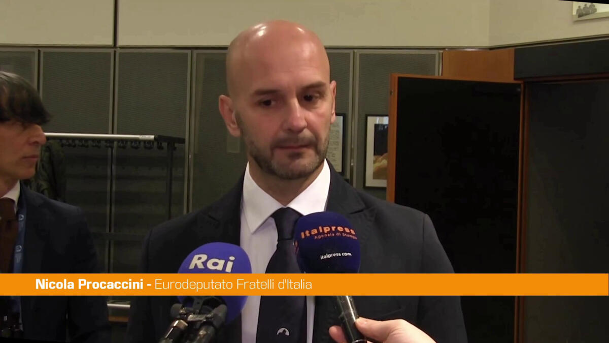 Nucleare, Procaccini "Il punto non è 'se', ma 'quando'" -