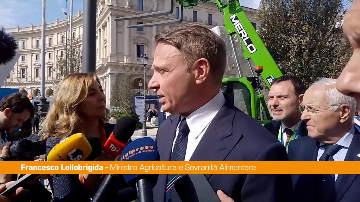 Lollobrigida "Tutto sembra tranne che Governo sia in crisi" - 