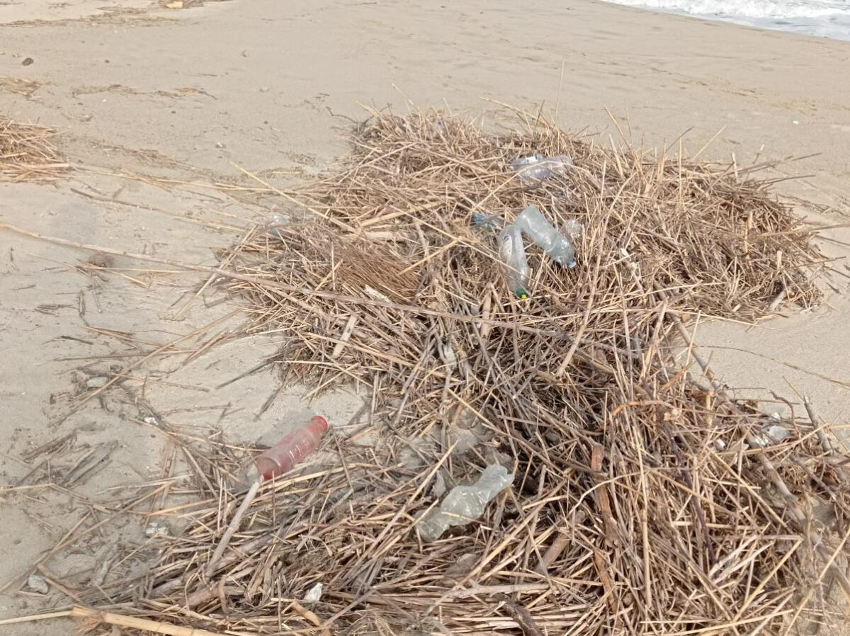 Il mar Ionio restituisce i rifiuti: "Occorrono civiltà, educazione e leggi restrittive" - 
