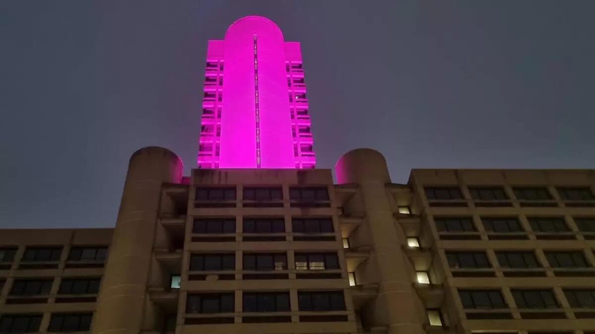 Emilia-Romagna, la torre dell’Assemblea legislativa si illumina di viola per la Giornata della lotta al papilloma virus - 