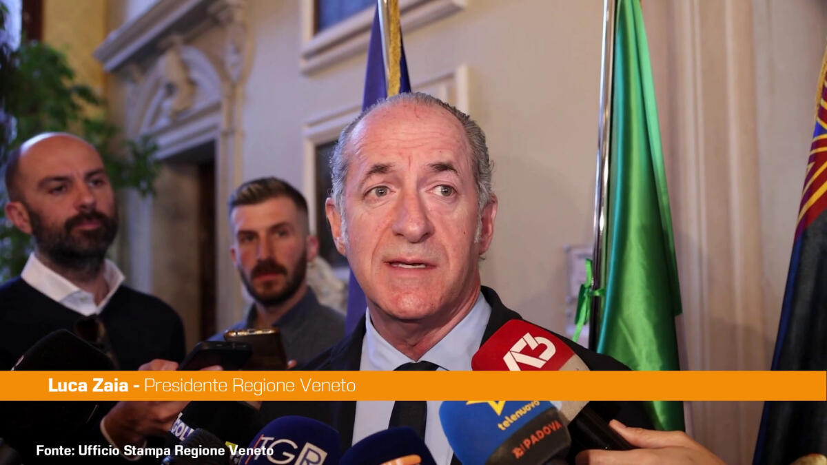 Ucraina, Zaia "Se andiamo in ordine sparso rischiamo un conto caro" - 