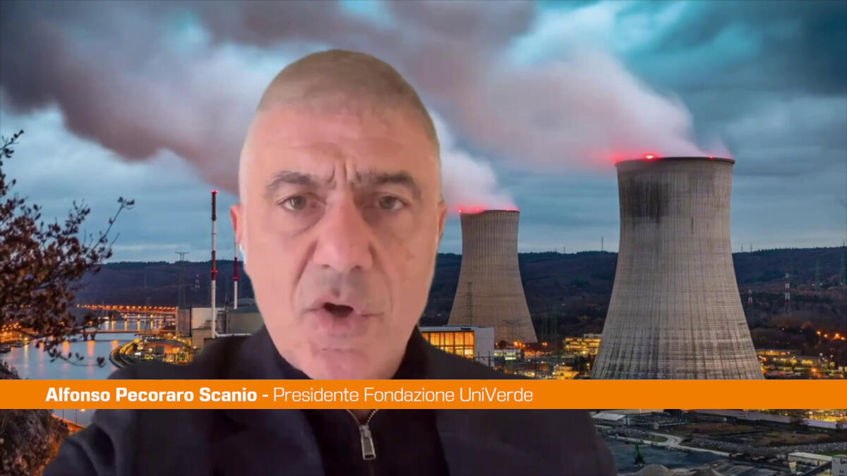 Pecoraro Scanio "No al nucleare a fissione, pronti al referendum" -
