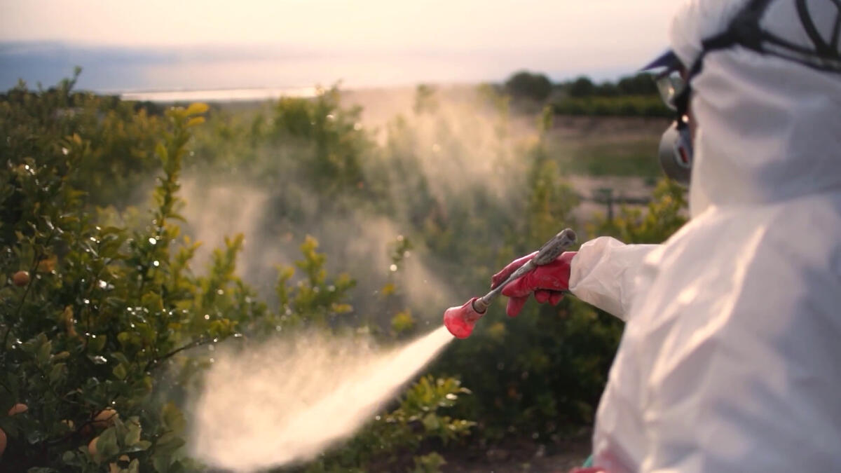 Pesticidi, nuovo studio sulla diffusione nei campi - 