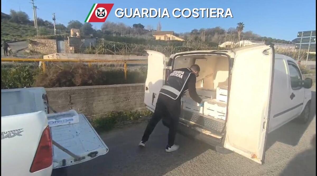 Crucoli - Viaggiava con 190 kg di novellame, fermato sulla strada dalla Capitaneria di porto - 