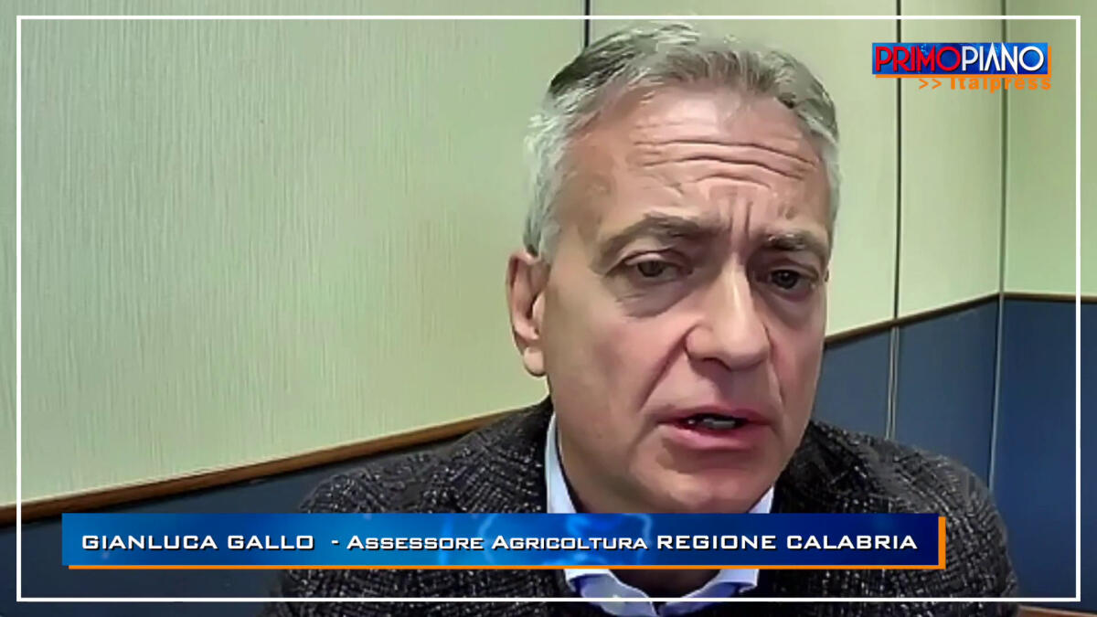 Dazi, Gallo "L'Europa saprà reagire" - 