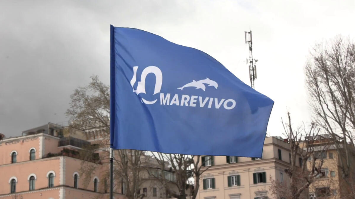 Marevivo festeggia 40 anni di impegno per il mare -