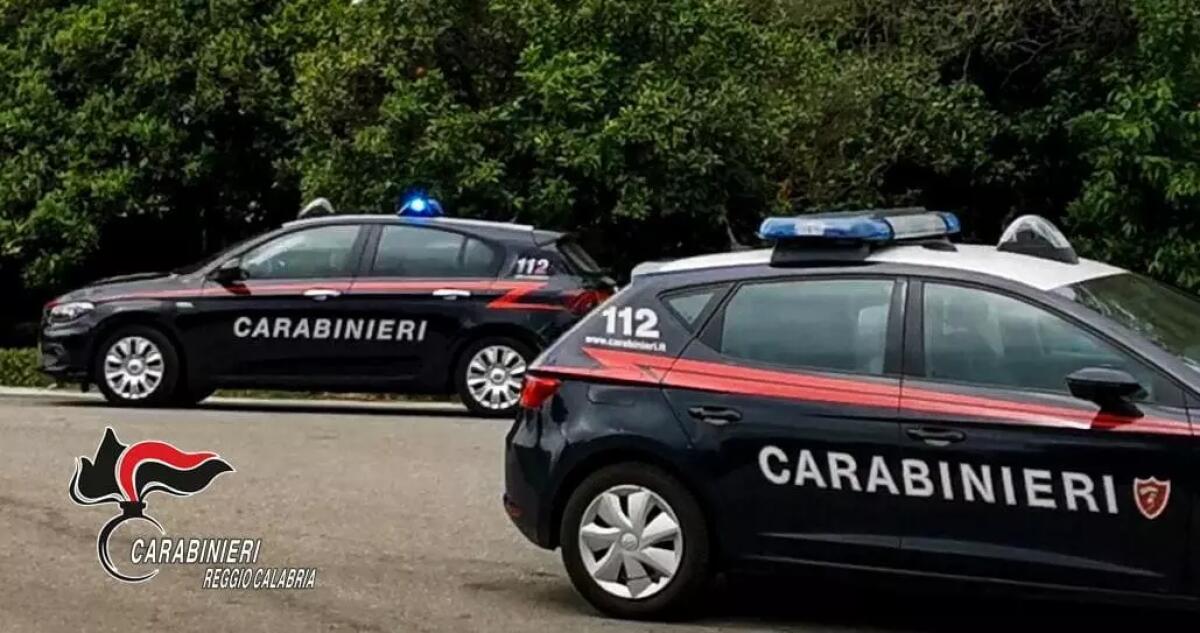Furto di materiale ferroso e discariche abusive: quattro persone denunciate in provincia di Crotone - 