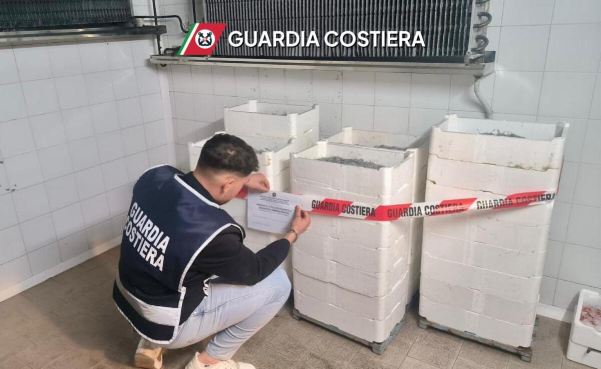 Cirò Marina - In auto con con 195kg di novellame, un uomo fermato e multato - 
