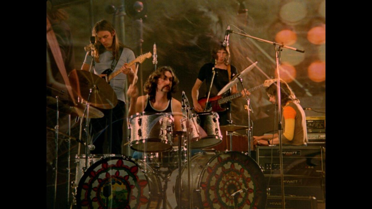 I Pink Floyd nelle sale della Calabria, anche a Zumpano - 