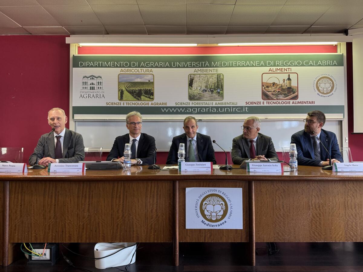 L'Università Mediterranea punta sul Made in Italy - 