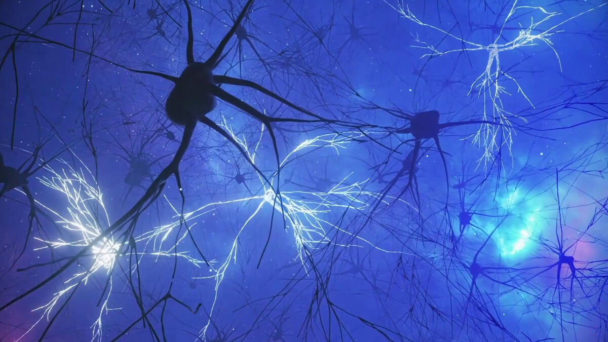 Uno studio svela l'attività cerebrale responsabile della memoria -